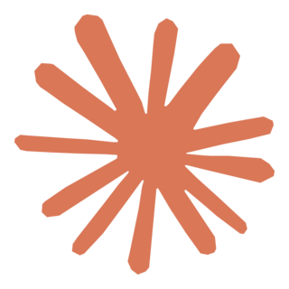 Claude Code logo